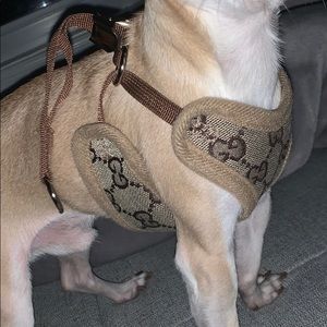 Gucci harness